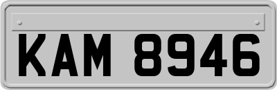 KAM8946