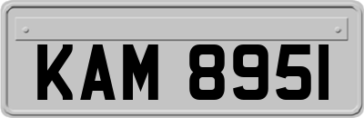 KAM8951