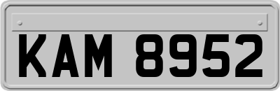 KAM8952