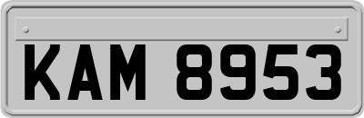KAM8953