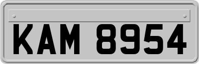 KAM8954