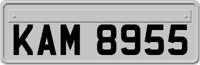 KAM8955