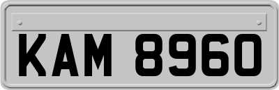 KAM8960