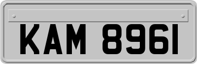 KAM8961