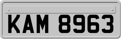 KAM8963
