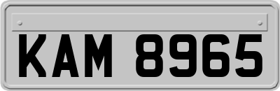 KAM8965