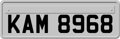 KAM8968