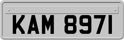 KAM8971