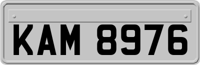 KAM8976
