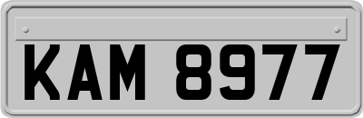 KAM8977
