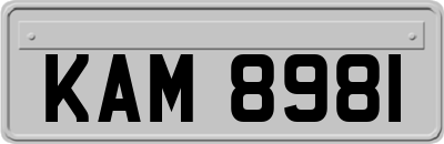 KAM8981