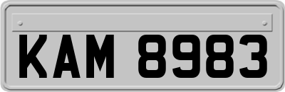 KAM8983