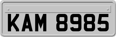 KAM8985