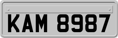 KAM8987