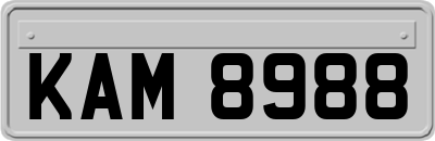 KAM8988