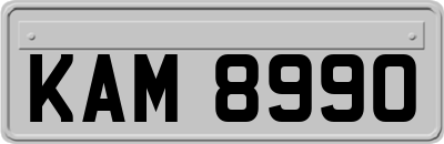 KAM8990