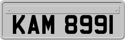 KAM8991