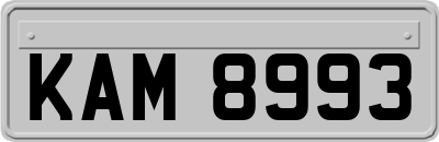 KAM8993