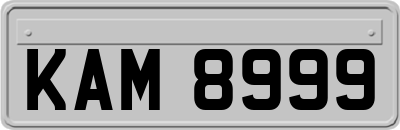 KAM8999