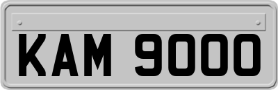 KAM9000