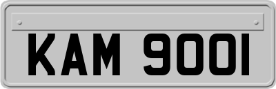 KAM9001
