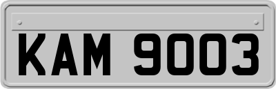KAM9003