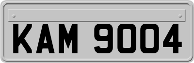 KAM9004