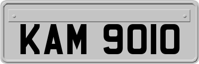 KAM9010