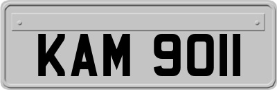 KAM9011