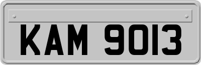 KAM9013