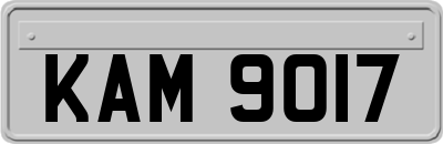 KAM9017