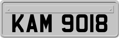 KAM9018