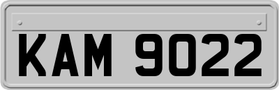 KAM9022