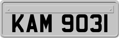 KAM9031