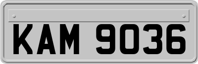 KAM9036