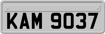 KAM9037
