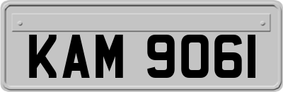 KAM9061