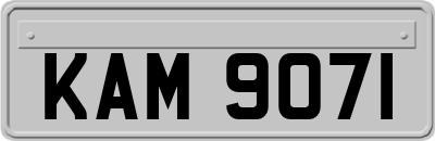 KAM9071