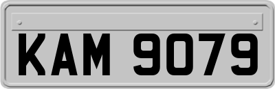 KAM9079