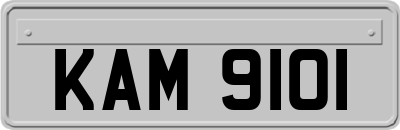 KAM9101