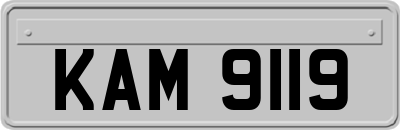 KAM9119