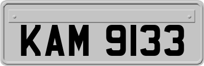 KAM9133