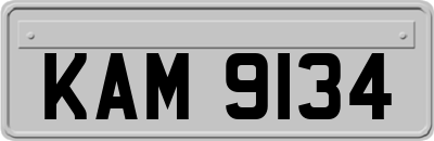 KAM9134