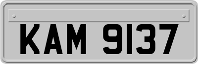 KAM9137