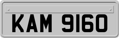 KAM9160