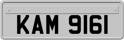 KAM9161