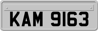 KAM9163