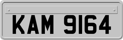 KAM9164