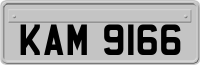 KAM9166