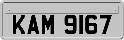 KAM9167